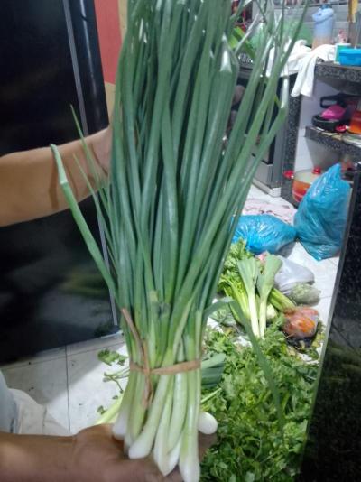 Cebolla