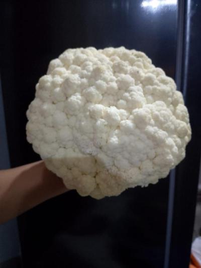 Coliflor