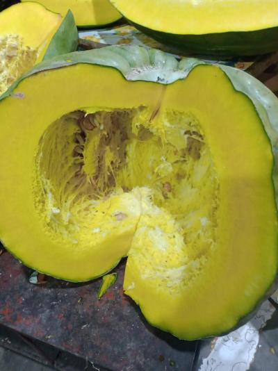 zapallo
